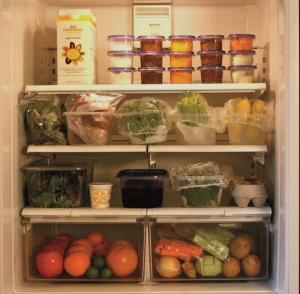Dian's Refrigerator Dian's Refrigerator